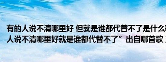 有的人说不清哪里好 但就是谁都代替不了是什么歌（“有些人说不清哪里好就是谁都代替不了”出自哪首歌）