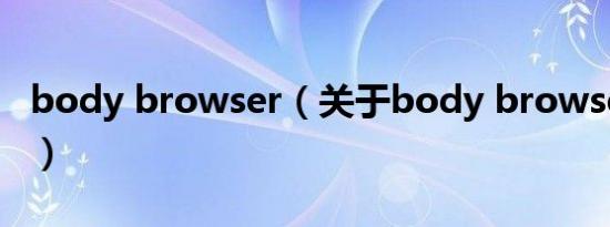 body browser（关于body browser的介绍）