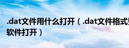 .dat文件用什么打开（.dat文件格式要用什么软件打开）