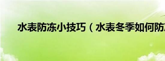 水表防冻小技巧（水表冬季如何防冻）