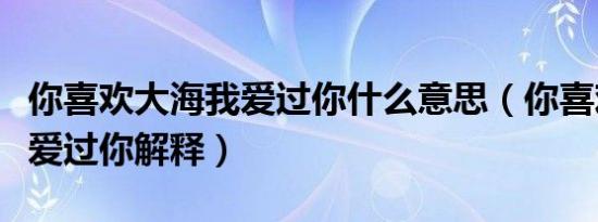 你喜欢大海我爱过你什么意思（你喜欢大海我爱过你解释）