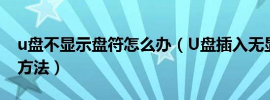 u盘不显示盘符怎么办（U盘插入无显示解决方法）