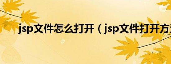 jsp文件怎么打开（jsp文件打开方法）