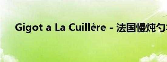 Gigot a La Cuillère - 法国慢炖勺羊肉
