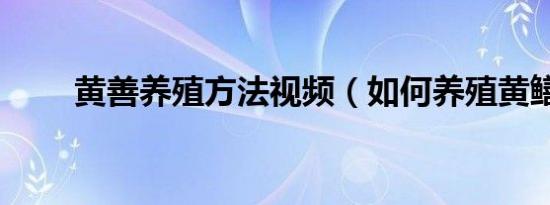 黄善养殖方法视频（如何养殖黄鳝）