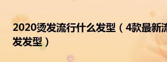 2020烫发流行什么发型（4款最新流行的烫发发型）