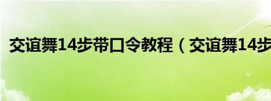 交谊舞14步带口令教程（交谊舞14步教程）