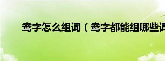 鸯字怎么组词（鸯字都能组哪些词）