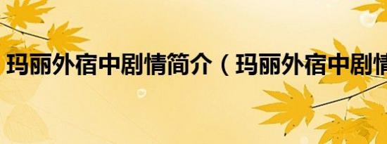 玛丽外宿中剧情简介（玛丽外宿中剧情概要）