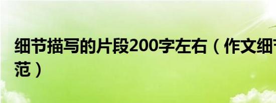 细节描写的片段200字左右（作文细节描写示范）