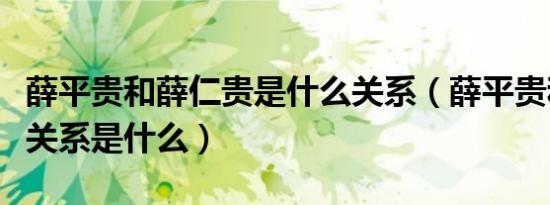 薛平贵和薛仁贵是什么关系（薛平贵和薛仁贵关系是什么）