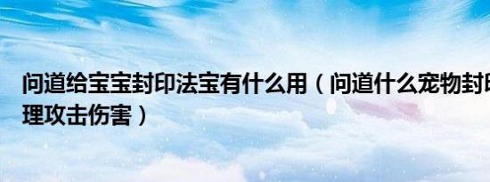 问道给宝宝封印法宝有什么用（问道什么宠物封印法宝加物理攻击伤害）