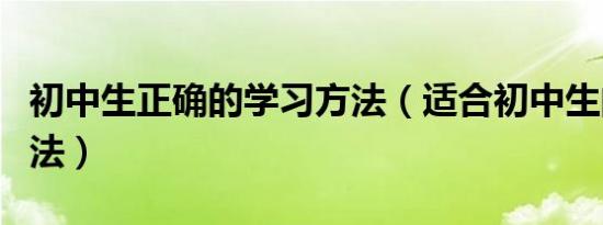 初中生正确的学习方法（适合初中生的学习方法）