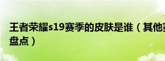 王者荣耀s19赛季的皮肤是谁（其他赛季皮肤盘点）