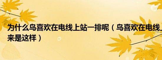 为什么鸟喜欢在电线上站一排呢（鸟喜欢在电线上站一排原来是这样）