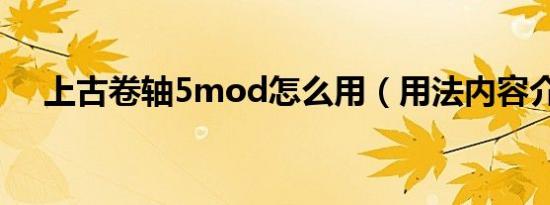 上古卷轴5mod怎么用（用法内容介绍）