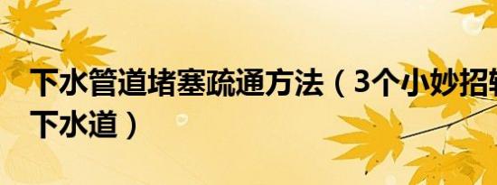 下水管道堵塞疏通方法（3个小妙招轻松疏通下水道）