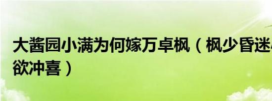 大酱园小满为何嫁万卓枫（枫少昏迷小满待嫁欲冲喜）