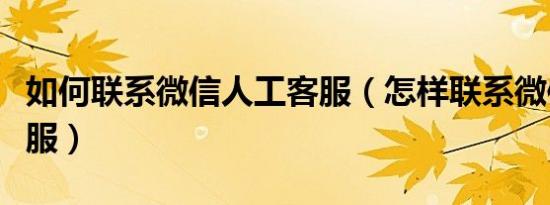 如何联系微信人工客服（怎样联系微信人工客服）