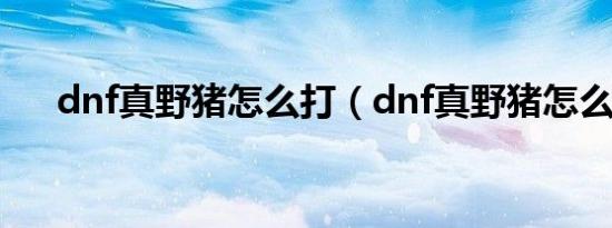 dnf真野猪怎么打（dnf真野猪怎么打）