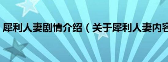 犀利人妻剧情介绍（关于犀利人妻内容简介）