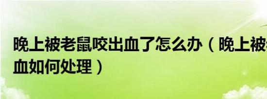 晚上被老鼠咬出血了怎么办（晚上被老鼠咬出血如何处理）