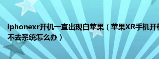 iphonexr开机一直出现白苹果（苹果XR手机开机白苹果进不去系统怎么办）