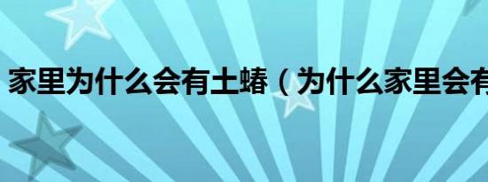 家里为什么会有土蝽（为什么家里会有土蝽）