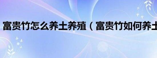 富贵竹怎么养土养殖（富贵竹如何养土养殖）