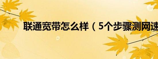 联通宽带怎么样（5个步骤测网速）