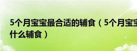 5个月宝宝最合适的辅食（5个月宝宝可以吃什么辅食）