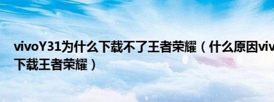 vivoY31为什么下载不了王者荣耀（什么原因vivoY31不能下载王者荣耀）