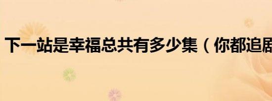 下一站是幸福总共有多少集（你都追剧了吗）