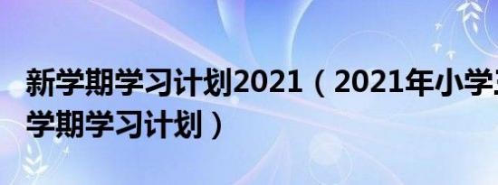 新学期学习计划2021（2021年小学三年级新学期学习计划）