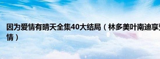 因为爱情有晴天全集40大结局（林多美叶南迪享受甜蜜的爱情）