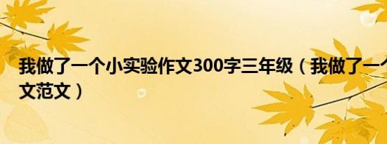 我做了一个小实验作文300字三年级（我做了一个小实验作文范文）