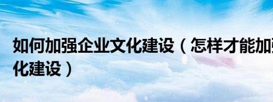 如何加强企业文化建设（怎样才能加强企业文化建设）