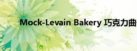 Mock-Levain Bakery 巧克力曲奇
