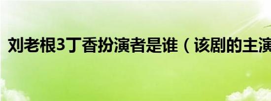 刘老根3丁香扮演者是谁（该剧的主演是谁）