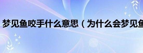 梦见鱼咬手什么意思（为什么会梦见鱼咬手）