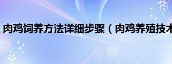 肉鸡饲养方法详细步骤（肉鸡养殖技术说明）