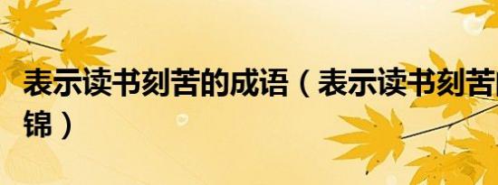 表示读书刻苦的成语（表示读书刻苦的成语集锦）