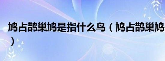 鸠占鹊巢鸠是指什么鸟（鸠占鹊巢鸠是什么鸟）