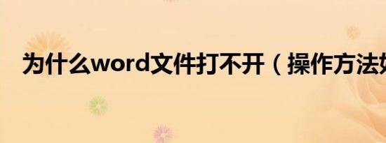 为什么word文件打不开（操作方法如下）