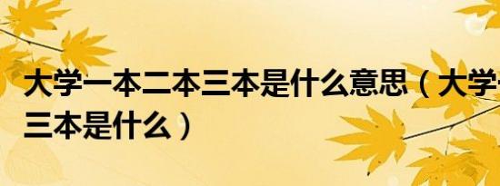 大学一本二本三本是什么意思（大学一本二本三本是什么）