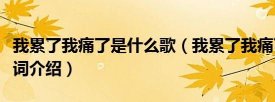 我累了我痛了是什么歌（我累了我痛了完整歌词介绍）