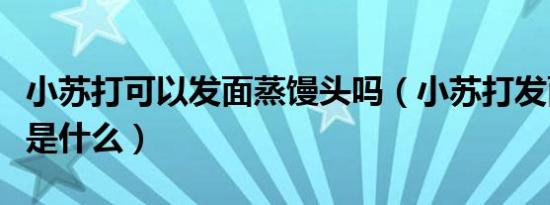 小苏打可以发面蒸馒头吗（小苏打发面的原理是什么）