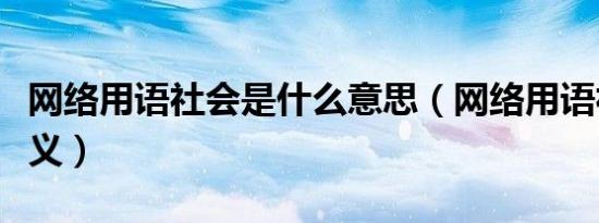 网络用语社会是什么意思（网络用语社会的含义）