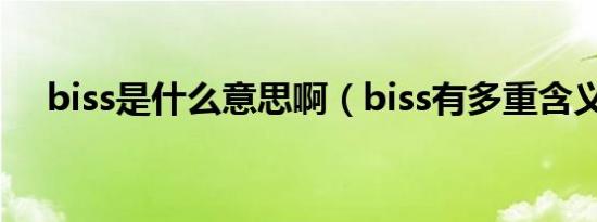 biss是什么意思啊（biss有多重含义吗）