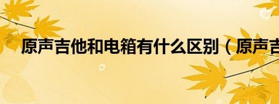 原声吉他和电箱有什么区别（原声吉他）